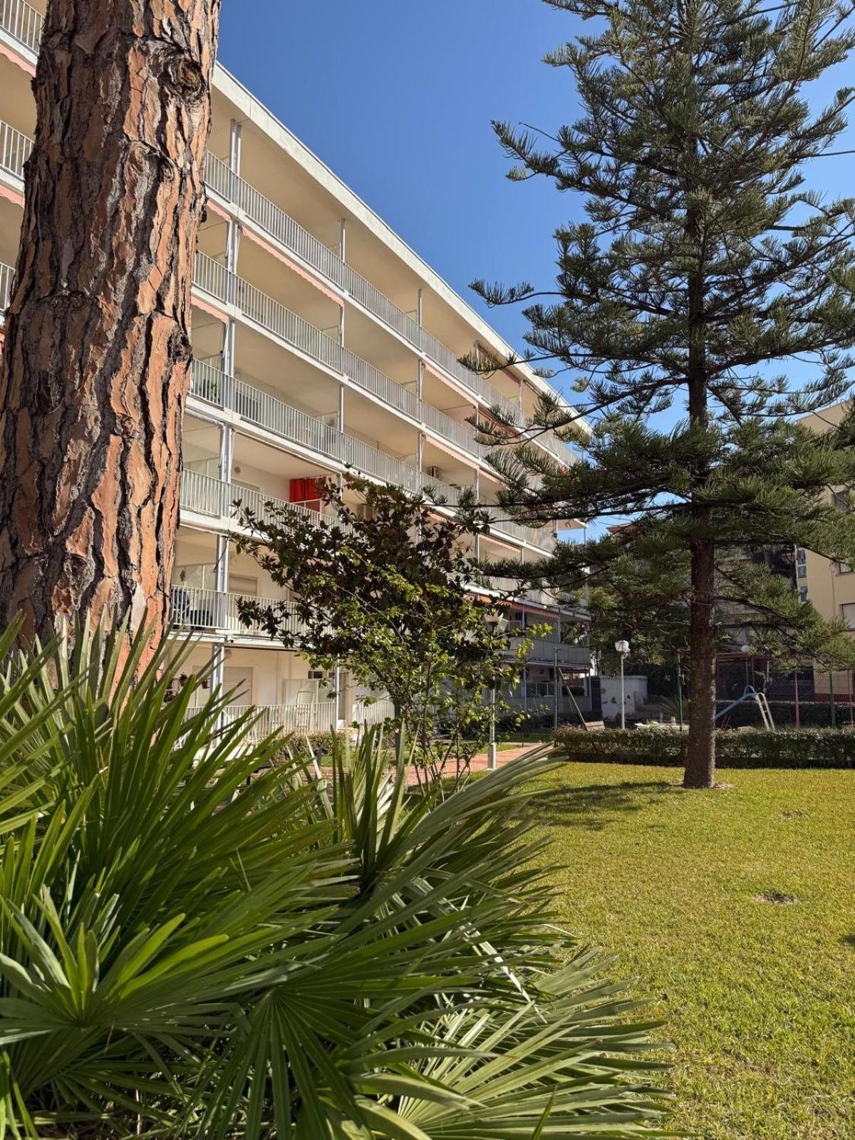 סאלו Apartamentos Hesperia Palmyra מראה חיצוני תמונה