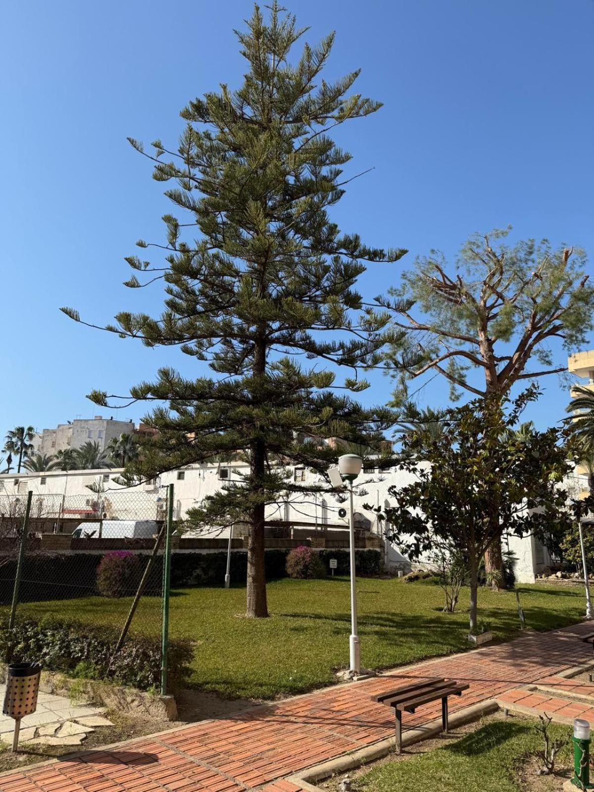 סאלו Apartamentos Hesperia Palmyra מראה חיצוני תמונה