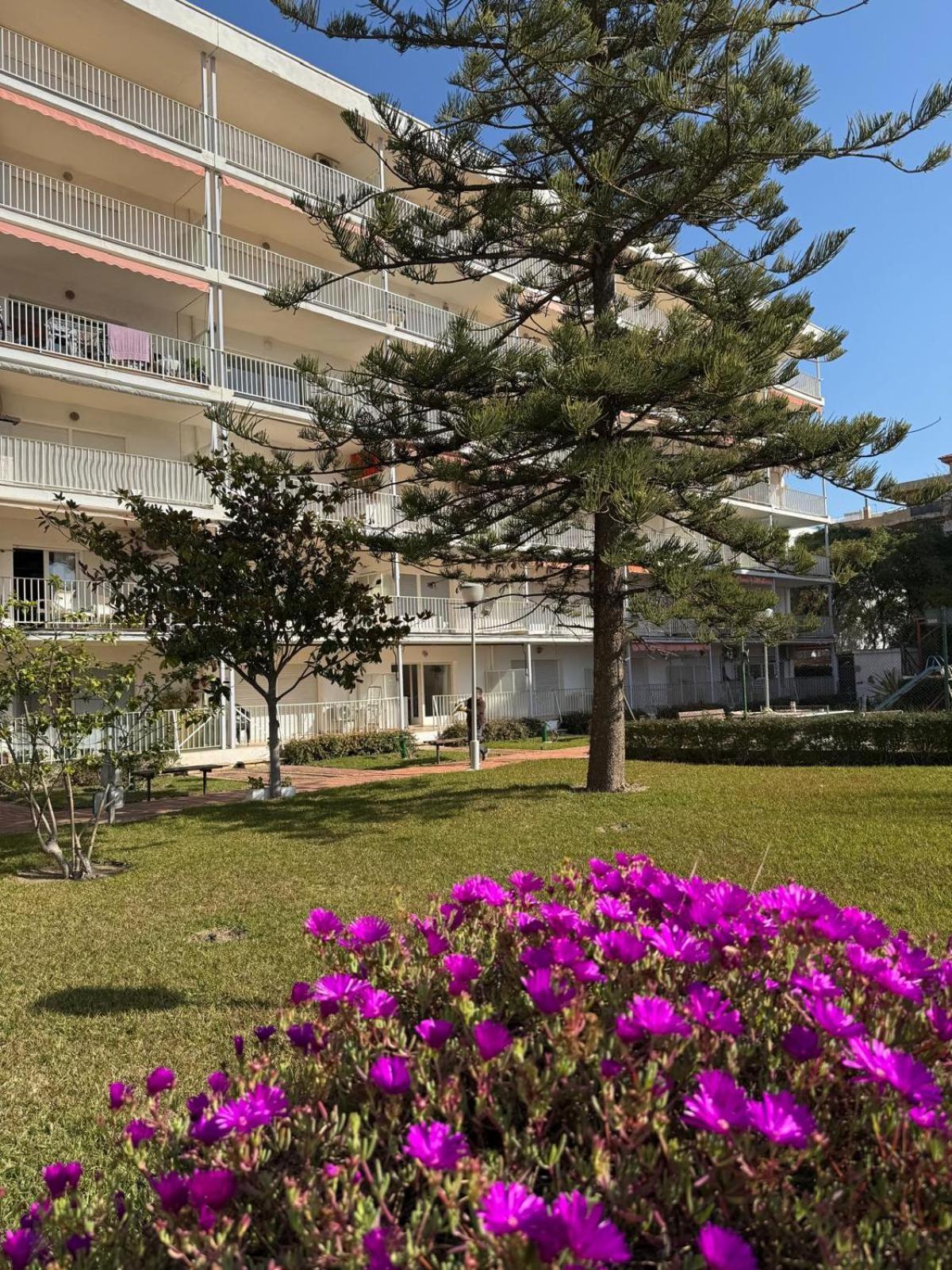 סאלו Apartamentos Hesperia Palmyra מראה חיצוני תמונה